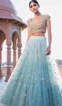 Silver+Powder blue mirror worked Lehenga Choli