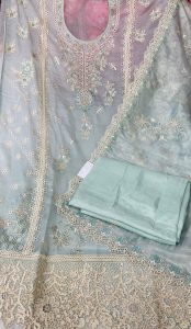 Tissue Organza Sky Colour Party Wear Suit