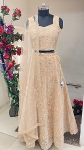 Net Fabric Peach colour lengha choli