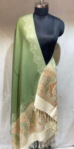 Pista Green Colour Woollen Fabric lovely Shawl