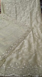 Tissue Shimmer Fabric Pista colour Deziner suit