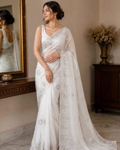 Saree,Fabric Organza,Color White, Work Stone.